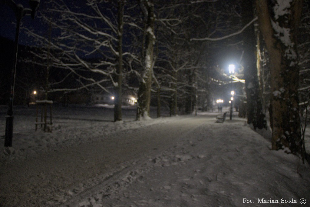 Park kuźnicki wczesnym rankiem