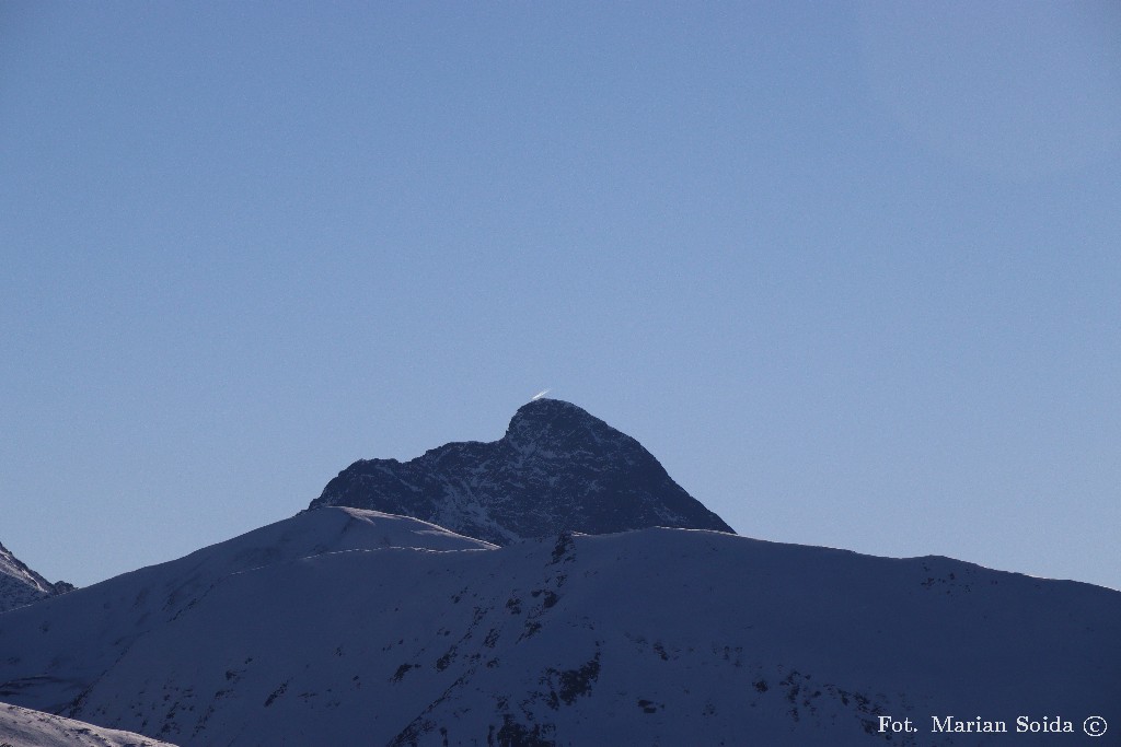 Krywań z Kondrackiej Czuby