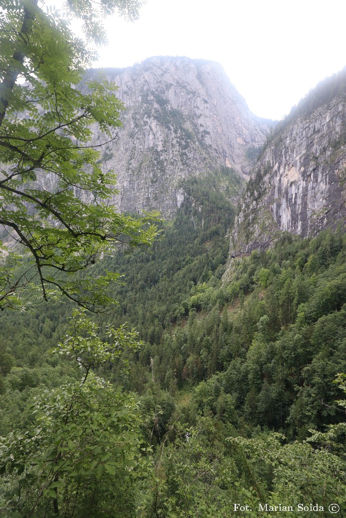 Widok ze ścieżki Gangsteig w dół Waldbach