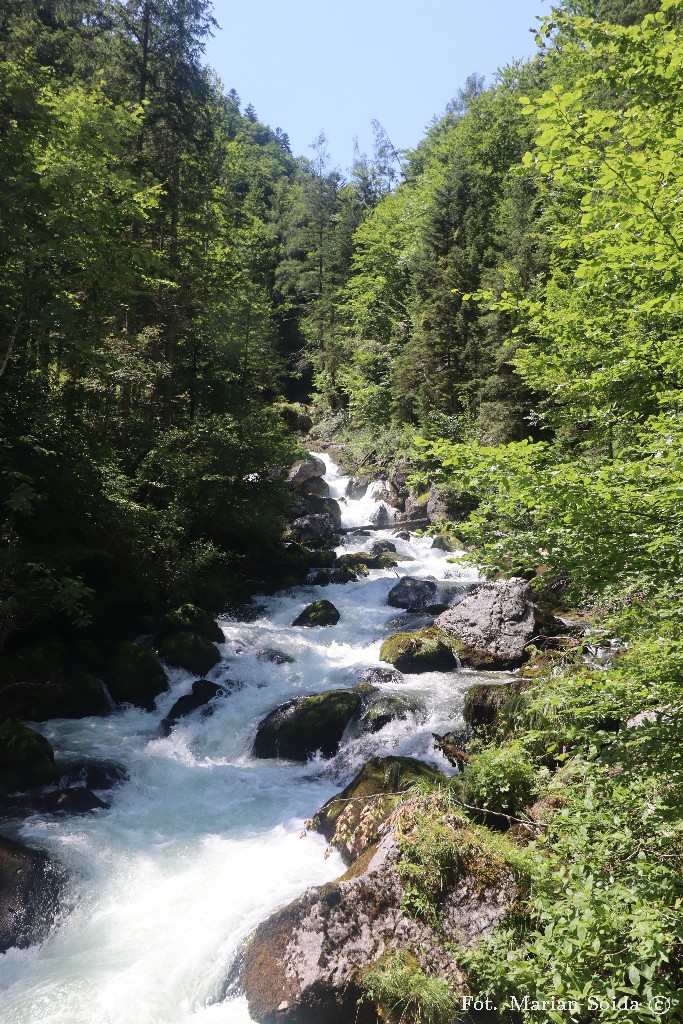 Waldbach