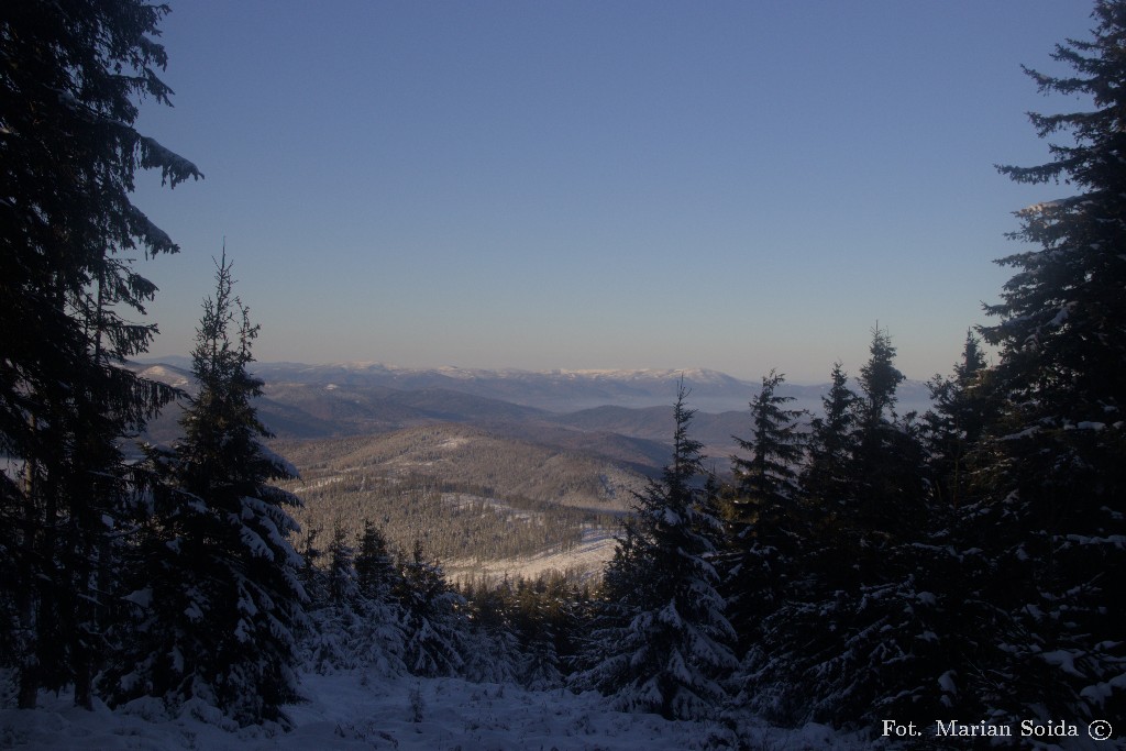 Widok na Beskid Śląski z podejścia pod Cyl