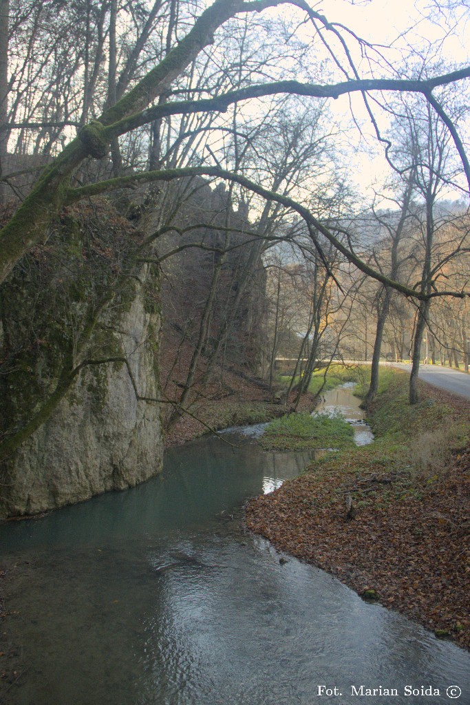 Prądnik w Ojcowie, pod zamkiem