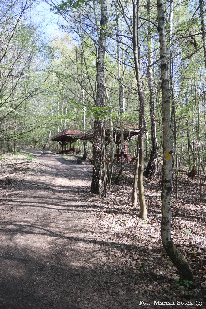 Liczne wiaty na zejściu do Dolinki Kobylańskiej