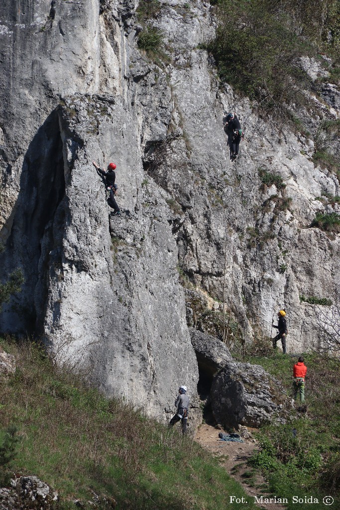 ... jak widać - wykorzystywane
