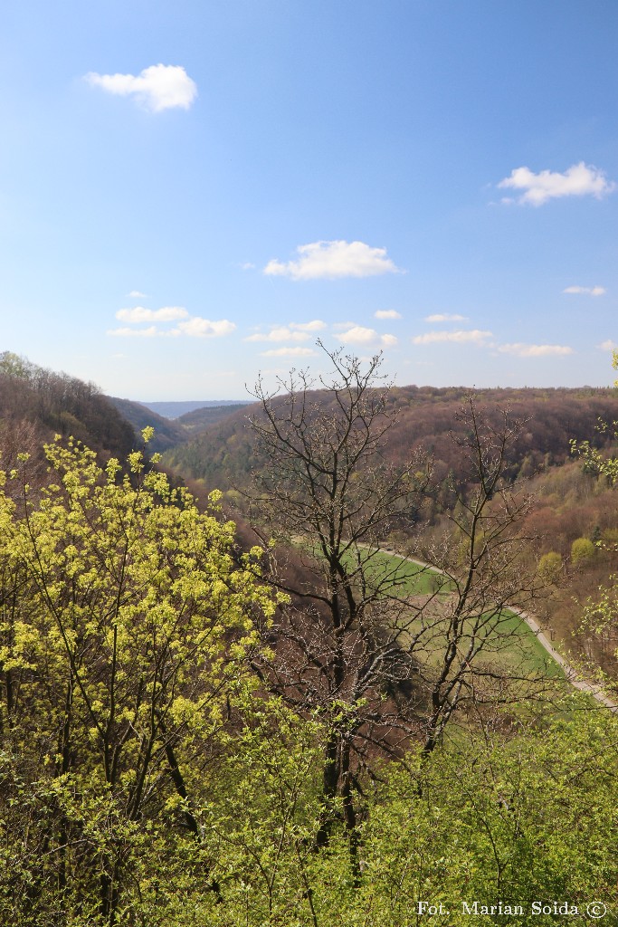 Dolina Będkowska z Grodziska