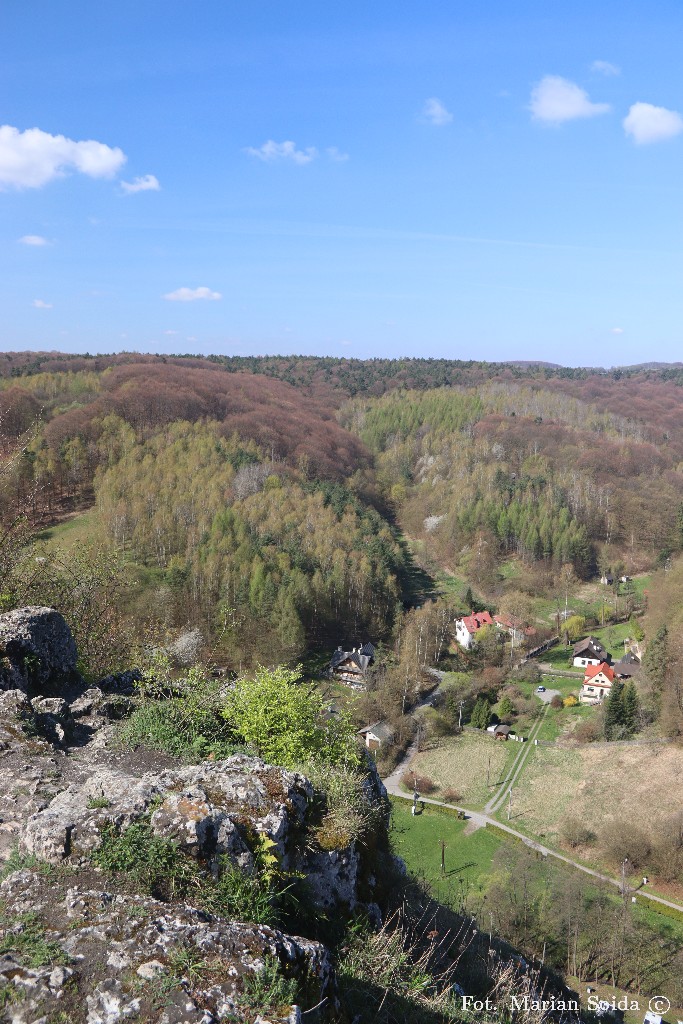 Środek Doliny Bedkowskiej z Grodziska