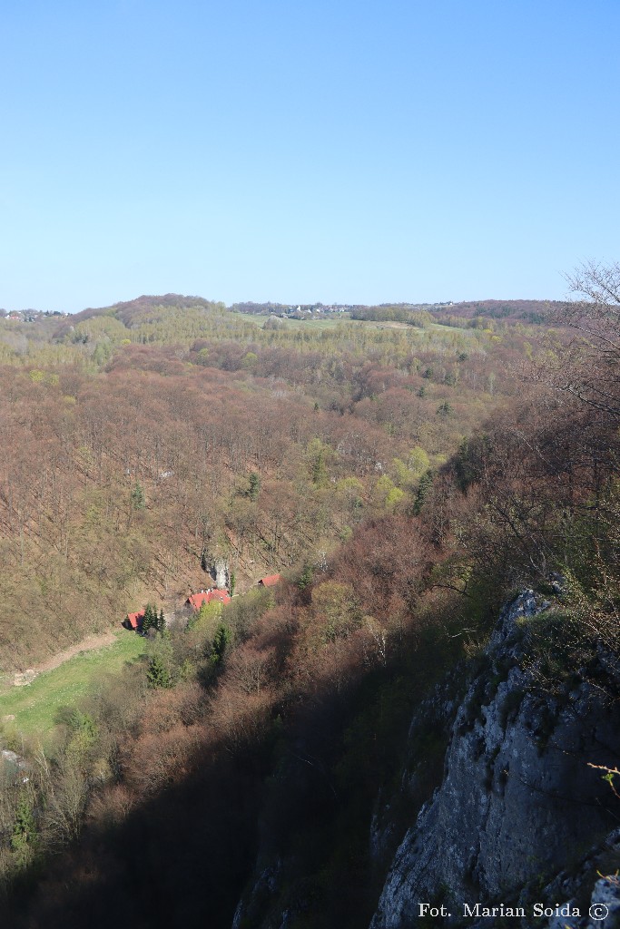 Dalsza część Doliny Bedkowskiej z Grodziska