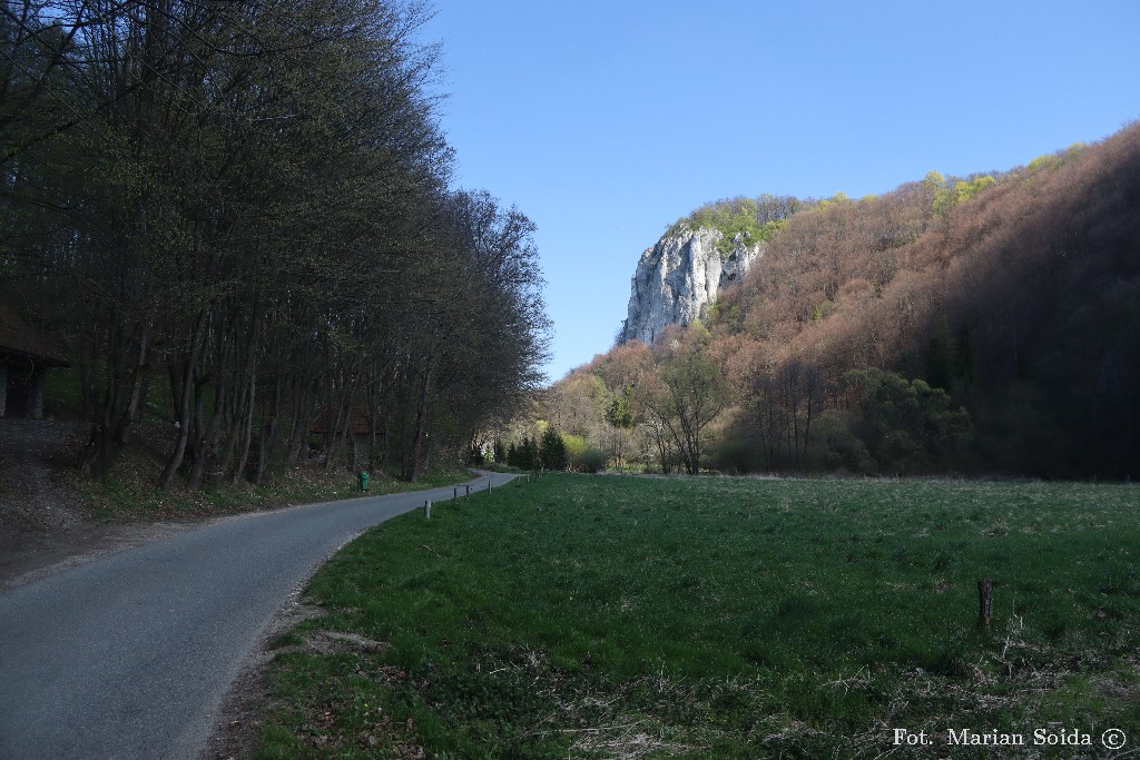 I jeszcze raz Grodzisko nad Doliną Będkowską