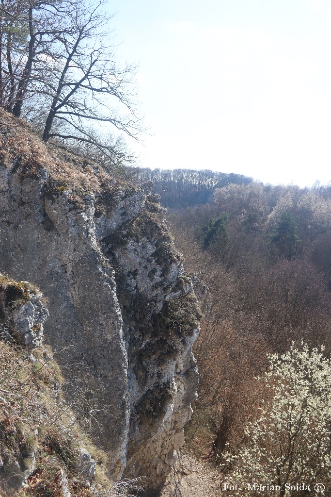 Dolina Kobylańska od góry