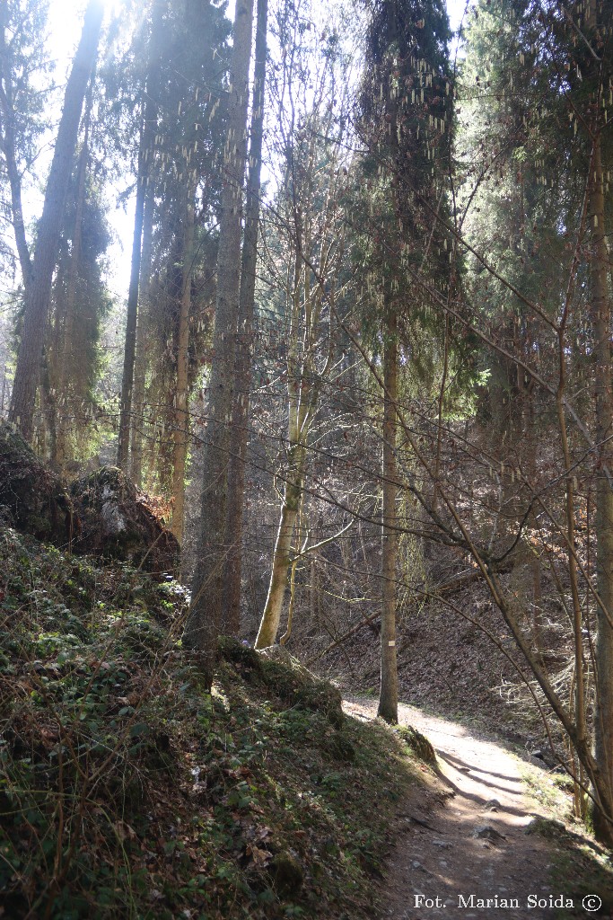 W Dolinie Bolechowickiej