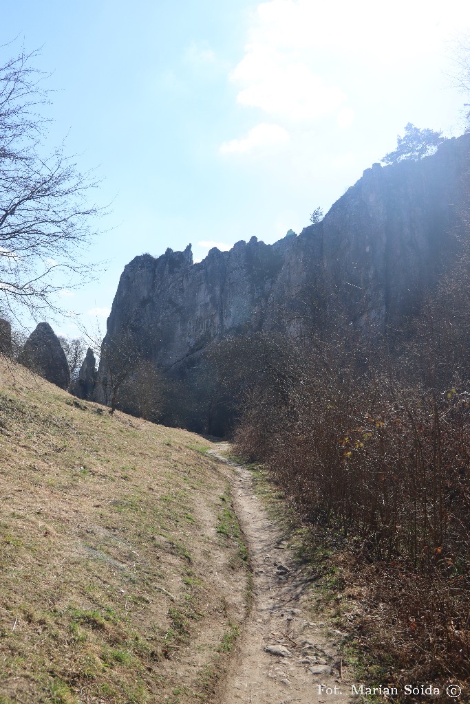 Widok na pół Bramy Bolechowickiej