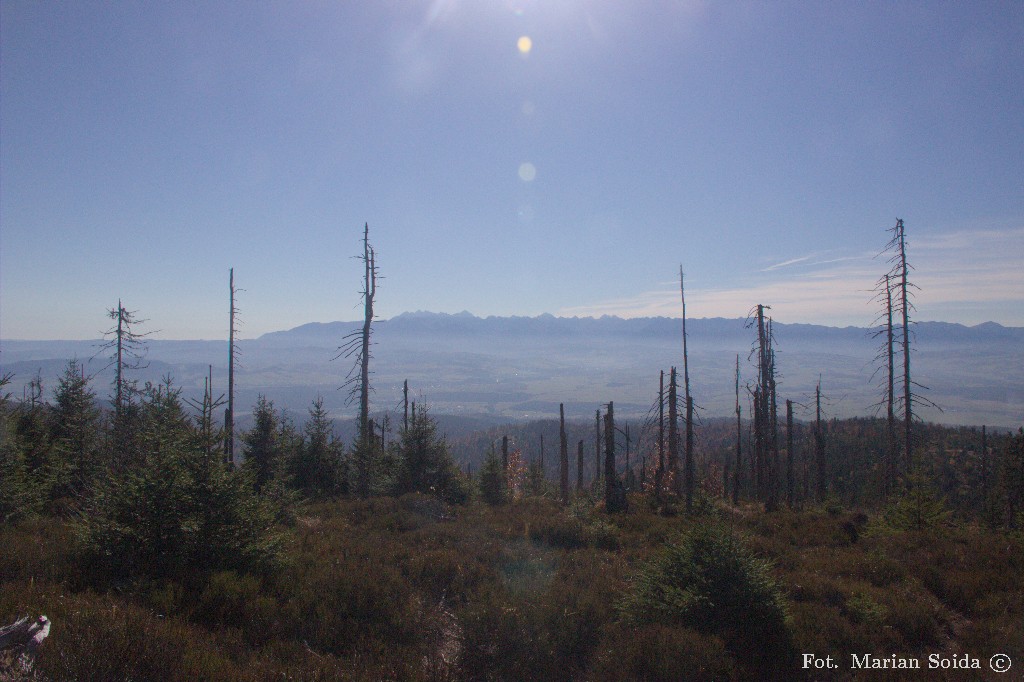 Tatry z Turbacza