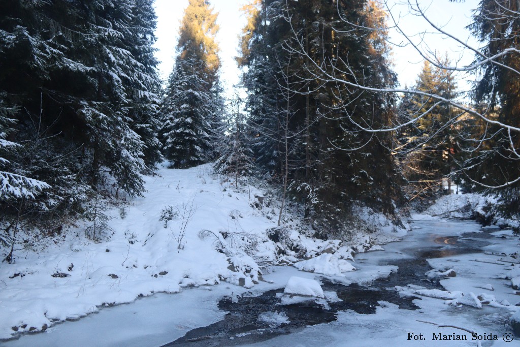 Lepietnica w Obidowej