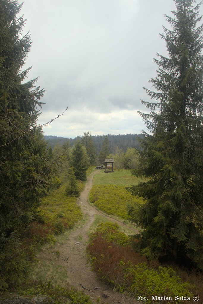 Czoło Turbacza
