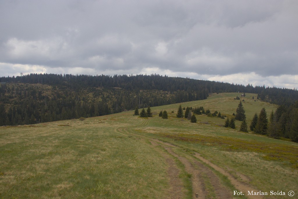 Polana Turbacz z Turbaczem