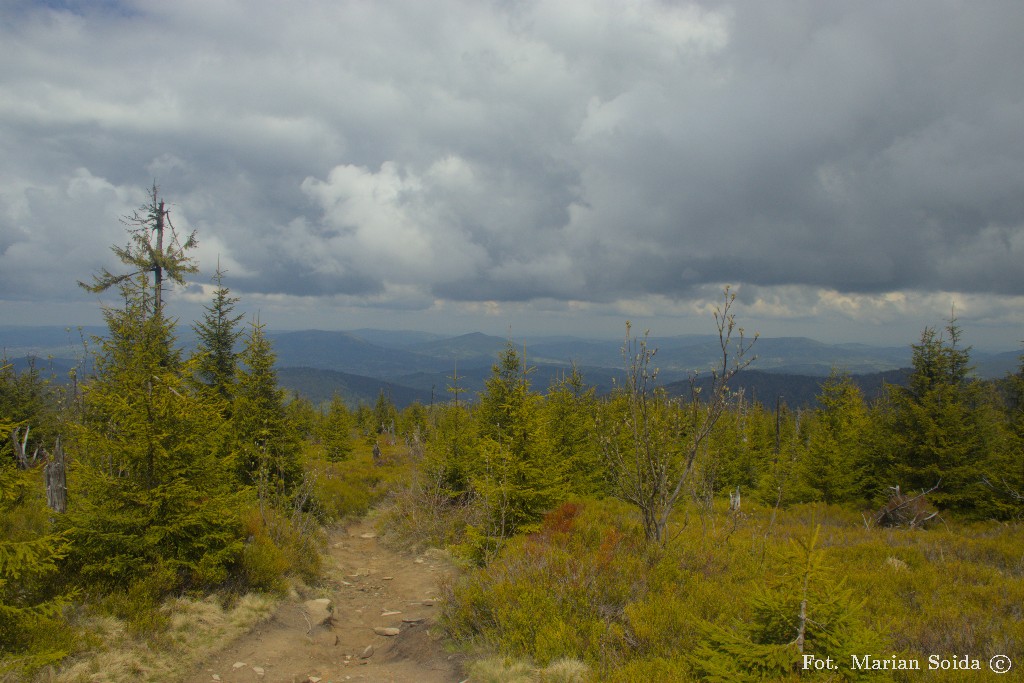 Beskid Wyspowy spod Turbacza