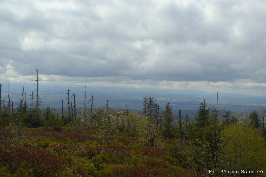 Widok na Tatry z Turbacza