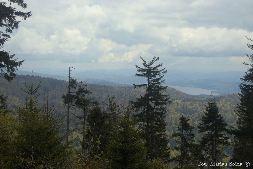 Widok na Pieniny z Turbacza