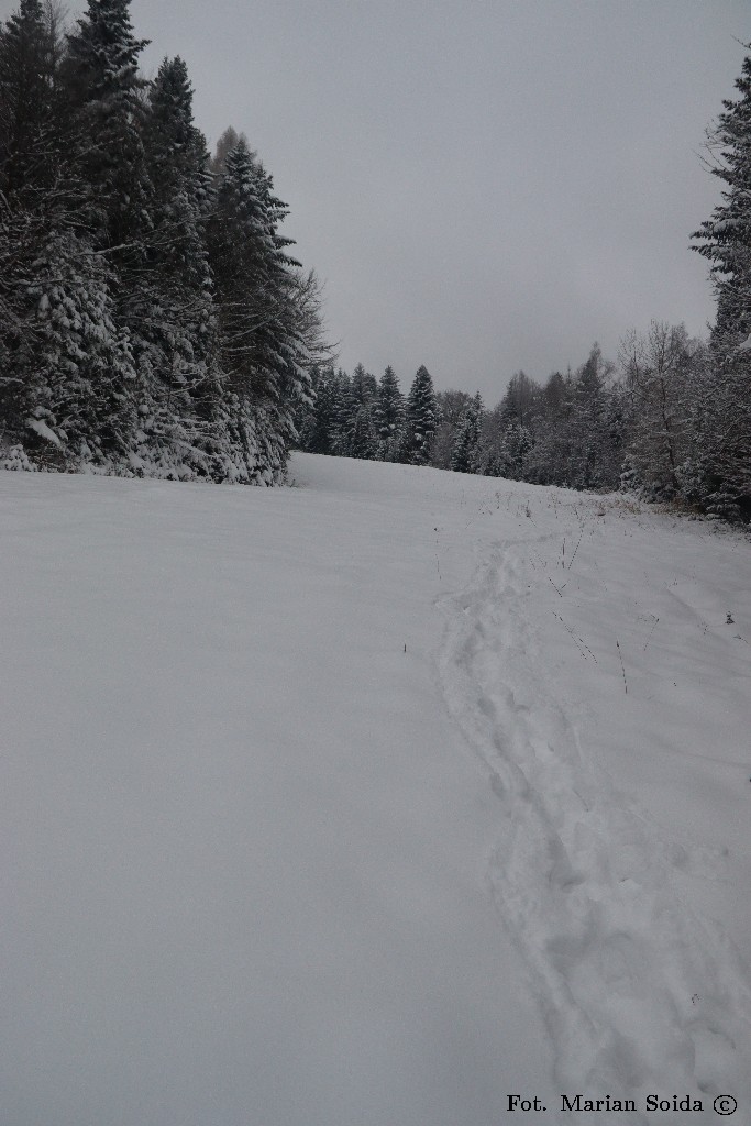 Podejście nartostradą