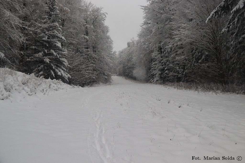 Mniej stromy kawałek nartostrady