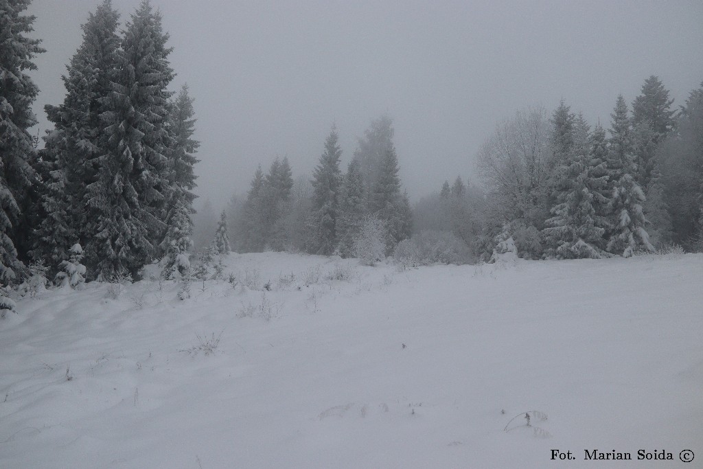 Kierunek - Tobołów