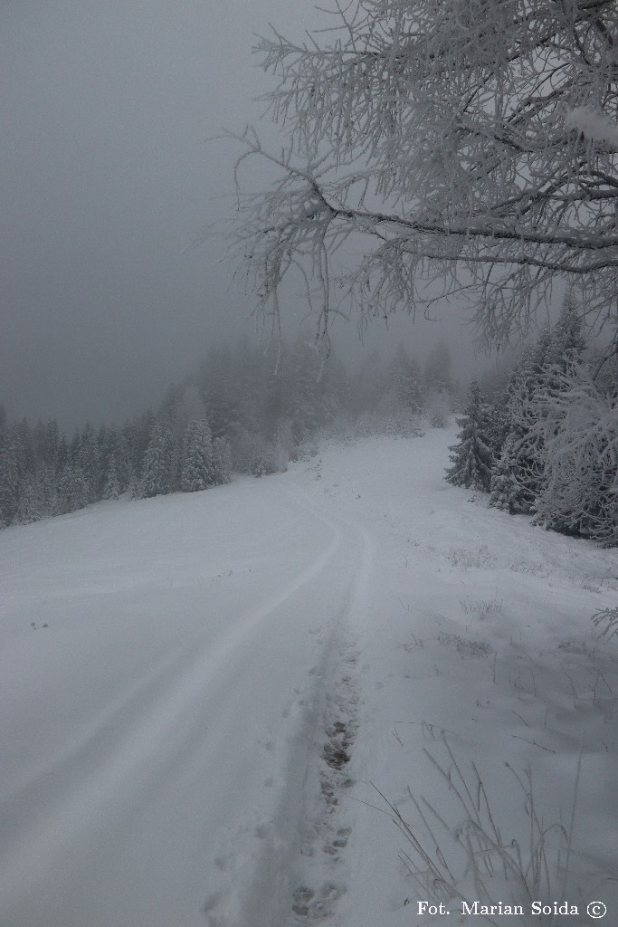 Tuż przed Tobołowem