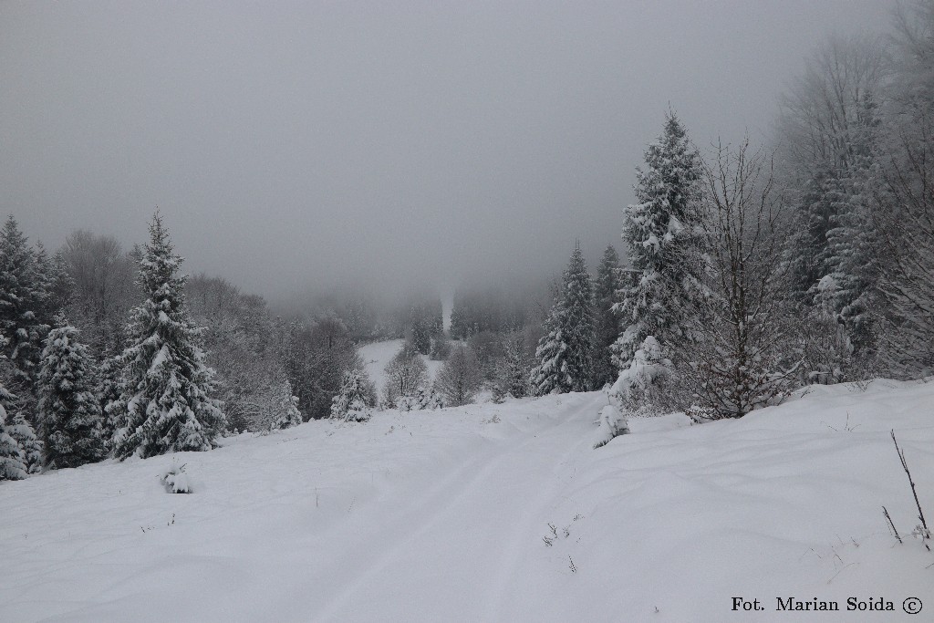 Przełęcz i polana Suhora