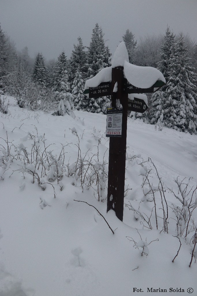 Zimowa wersja szlakowskazu