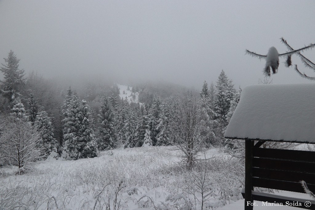 Widok na szczyt Suhory z polany