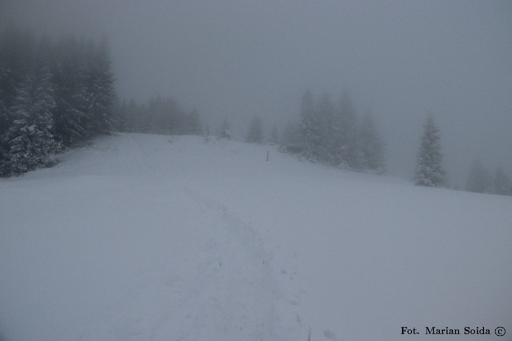 Czoło Turbacza - od podejścia
