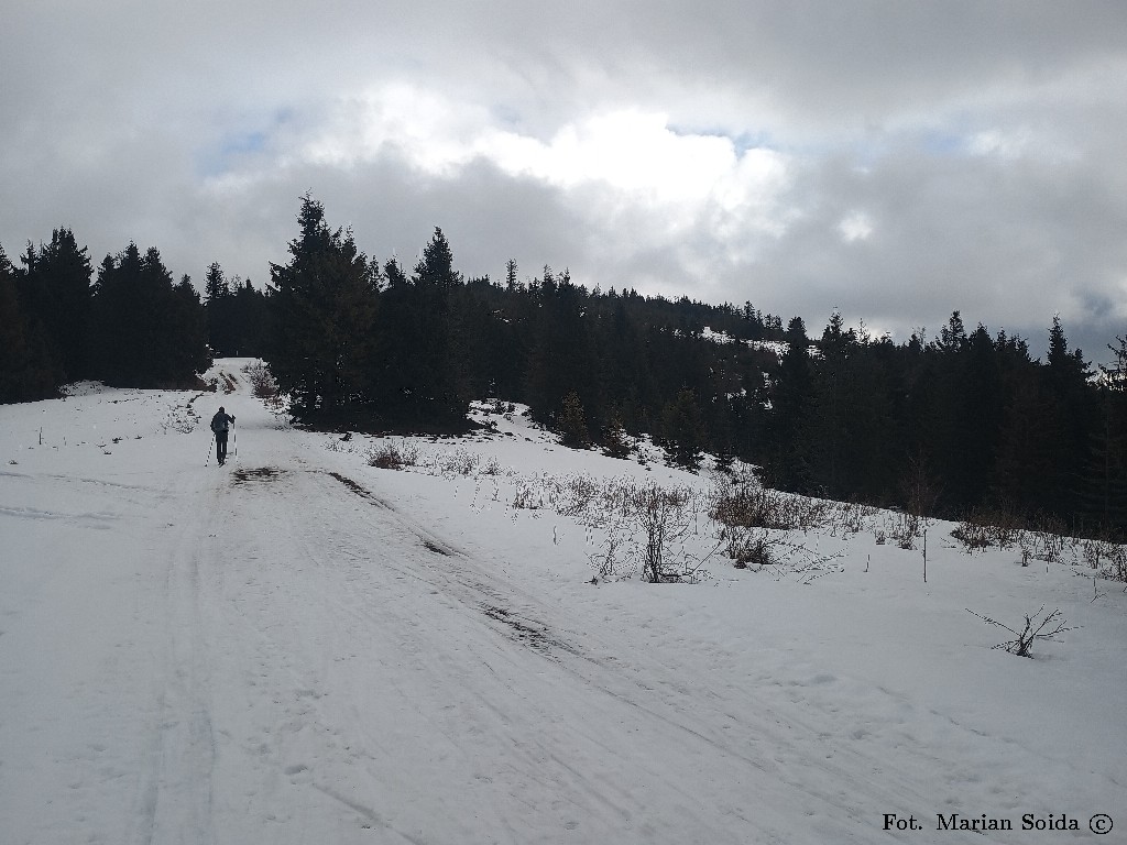 Grzbietem w kierunku Solniska