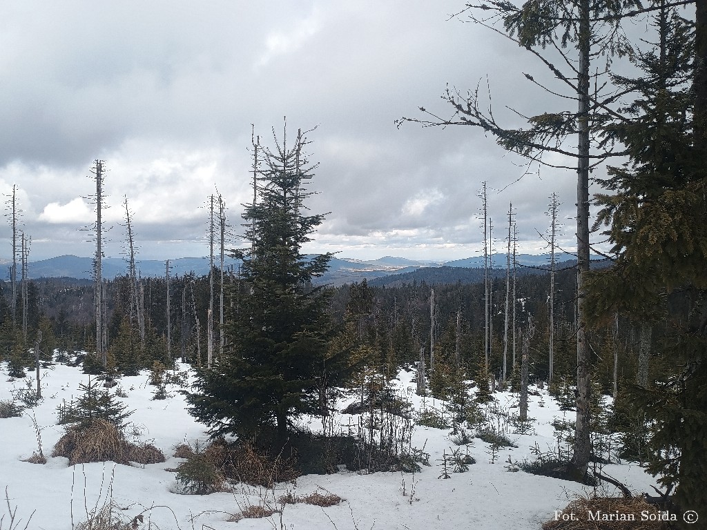 Beskid Wyspowy z Solniska