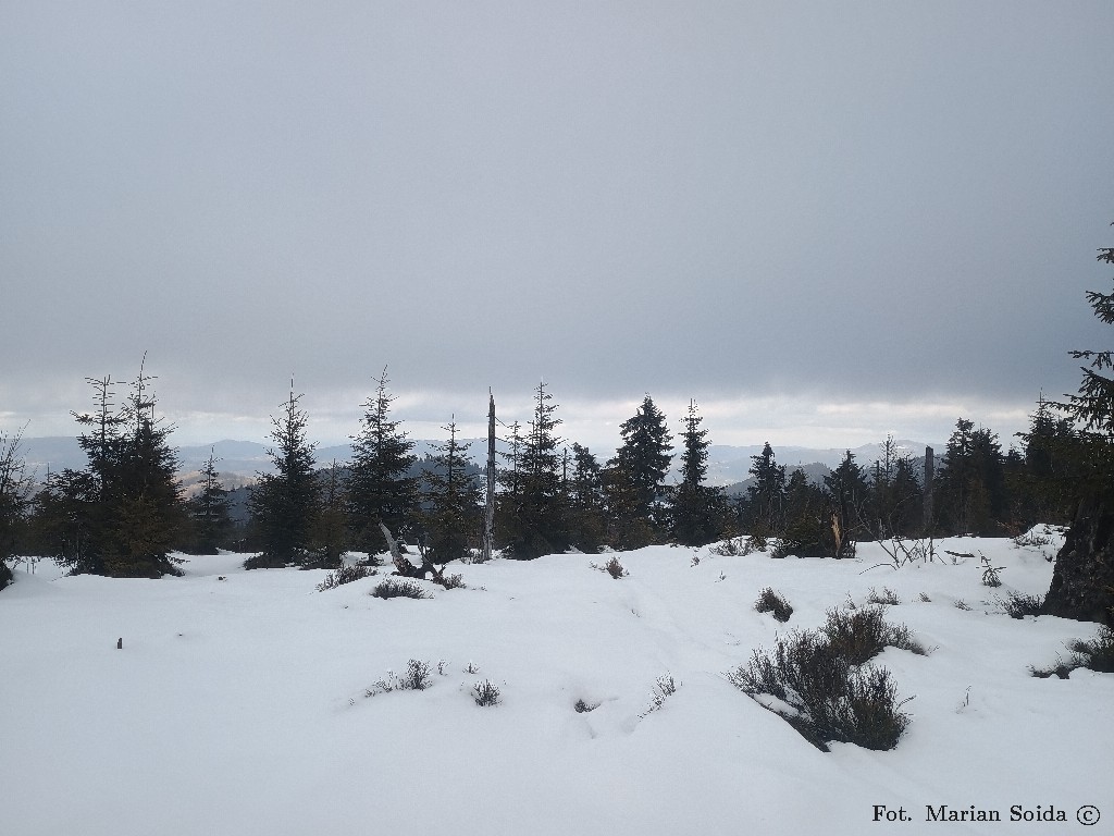 Beskid Wyspowy spod szczytu Turbacza