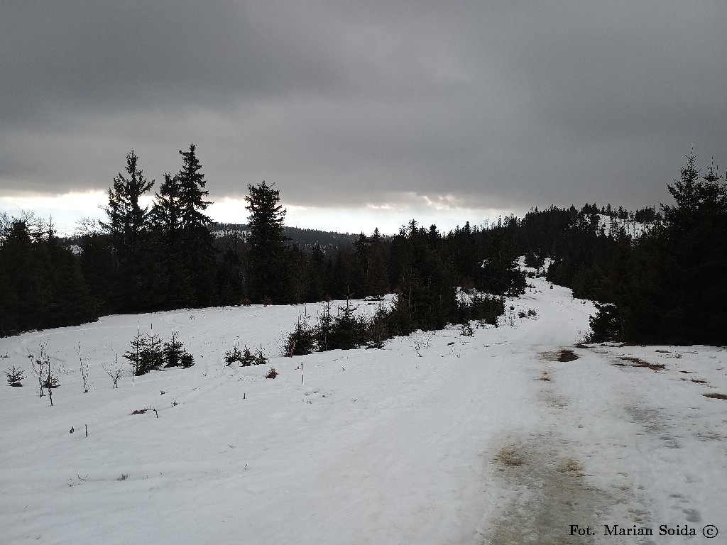 Zjazd z Rozdziela w stronę Solniska