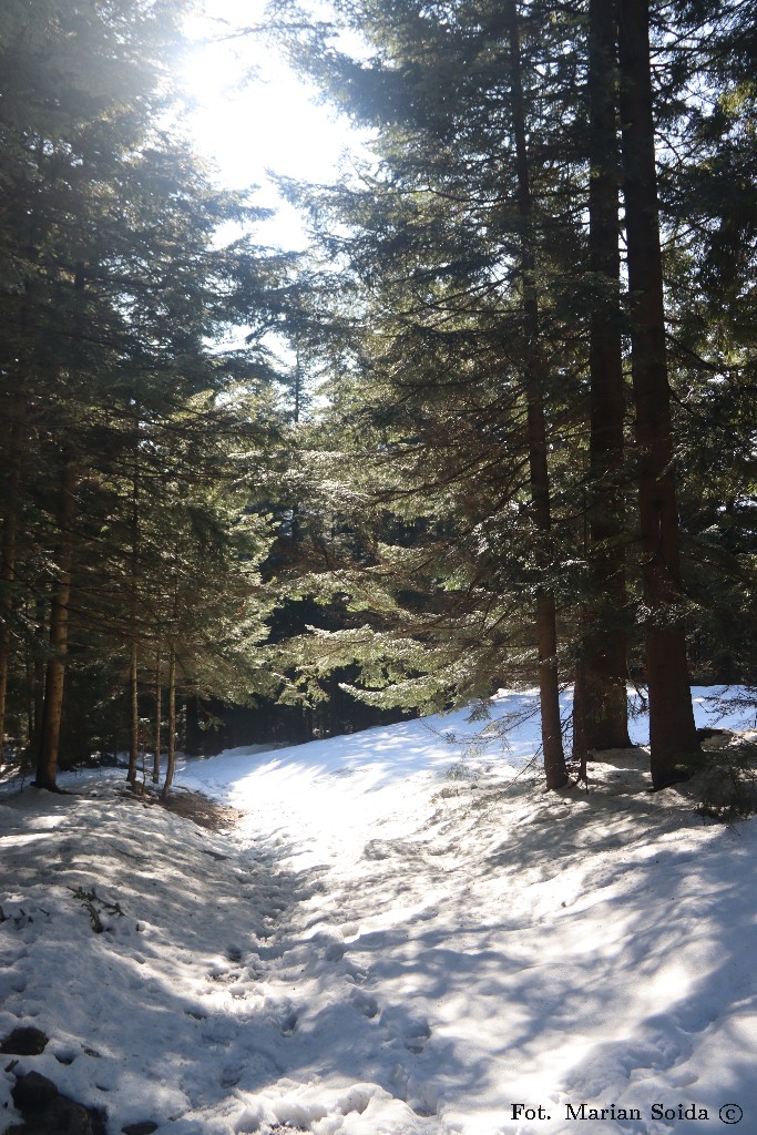 Podejście stokówką z Koniny