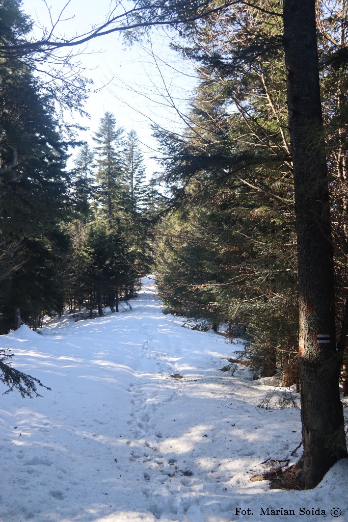 Dalej szlakiem na Turaczyk