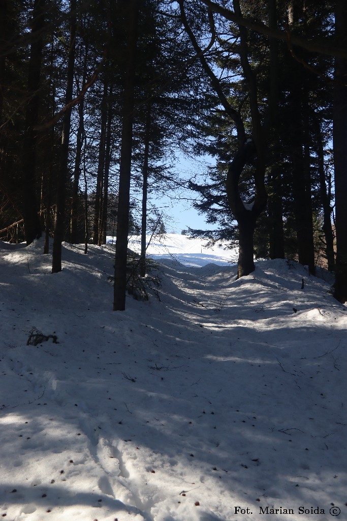 Tuż przed polaną pod szczytem