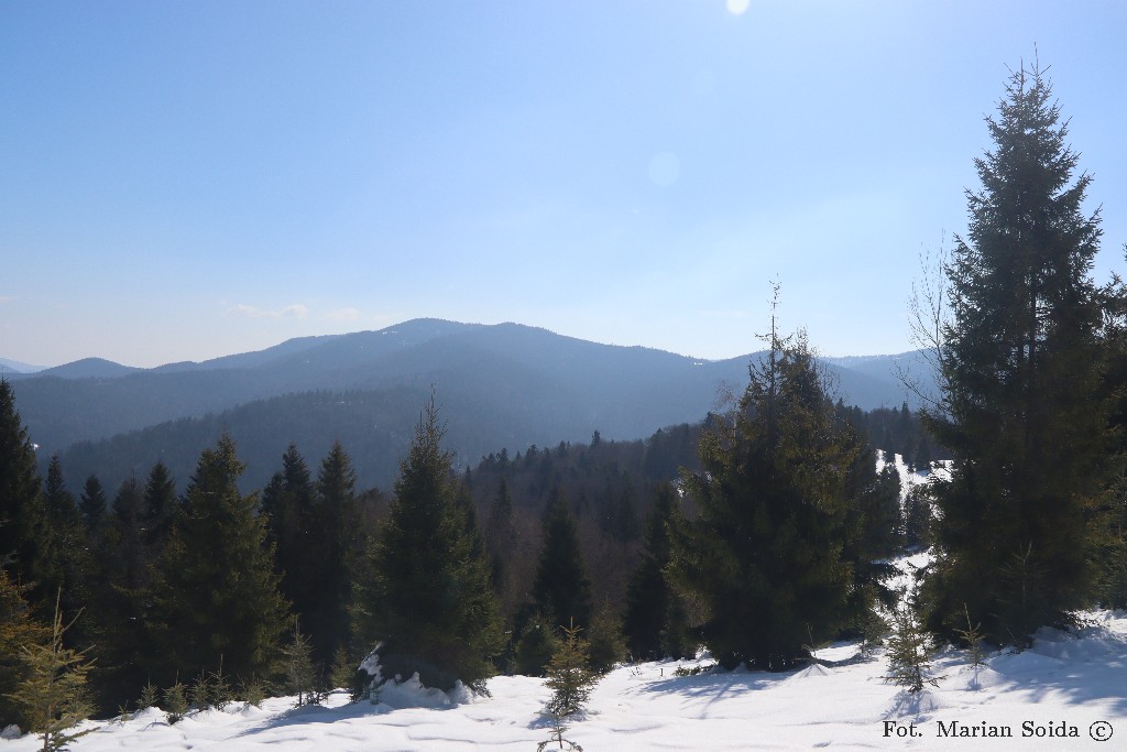 Kudłoń z Turbaczyka