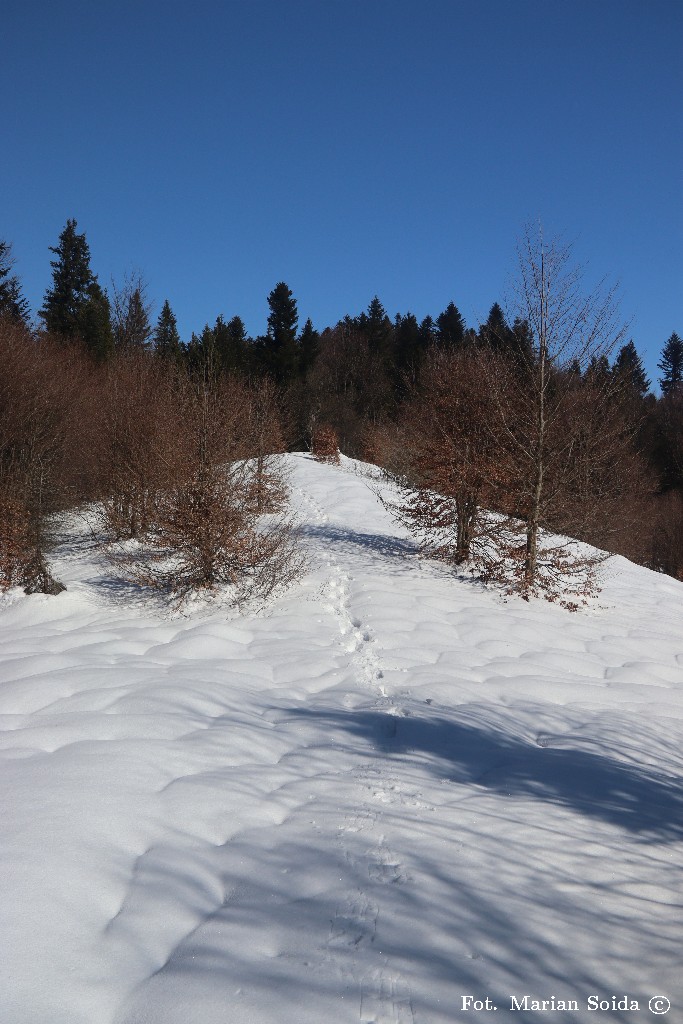 Ta sama polana z drugiej strony