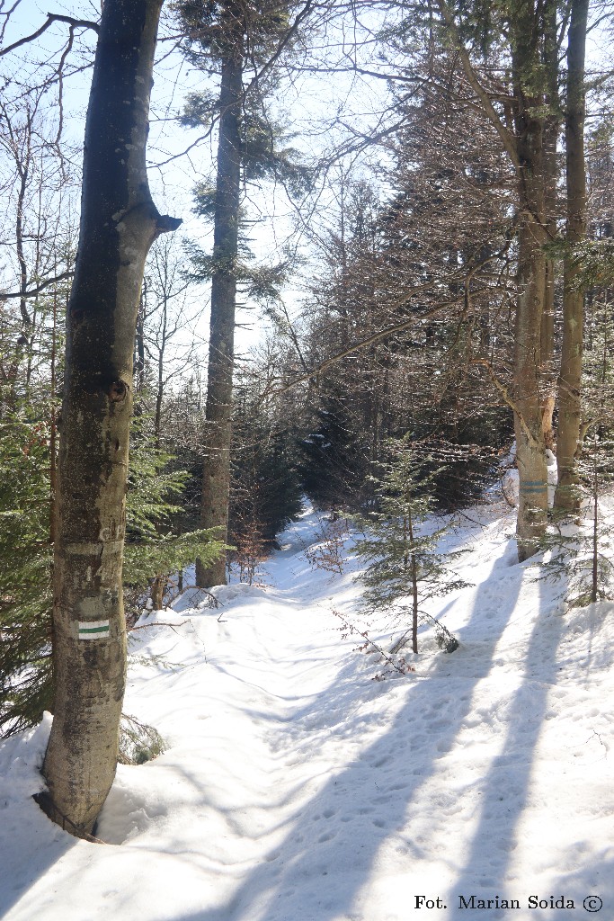 Trawers Wierchu Spalone