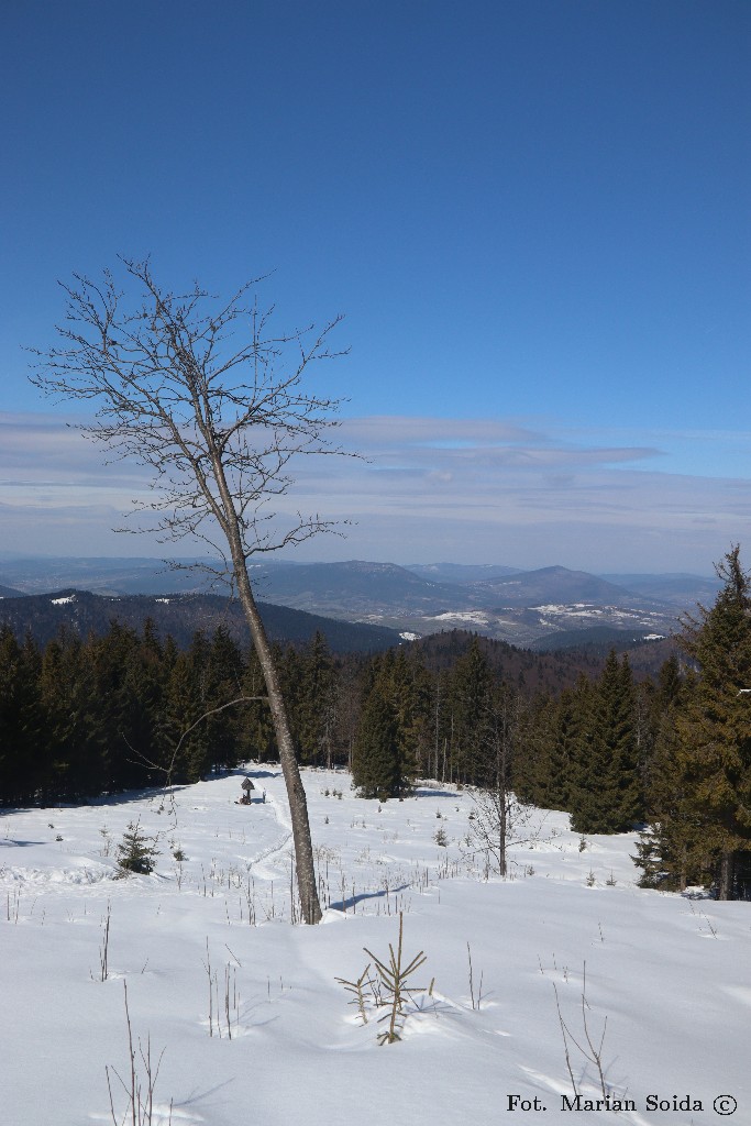 Połaczenie szlaków na Polanie Czoło