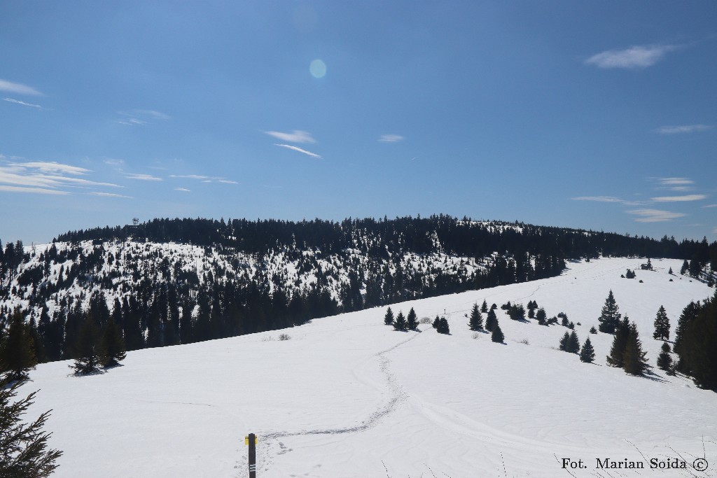 Turbacz z Czoła Turbacza