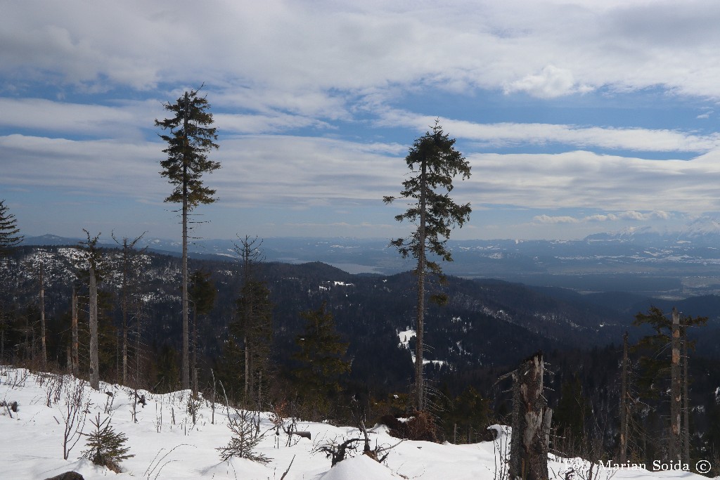 Widok na Jezioro Czorsztyńskie spod Turbacza