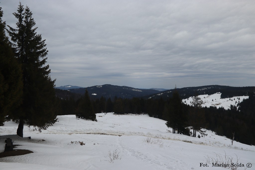 Mogielica, Mostownica, Hala Długa spod schroniska