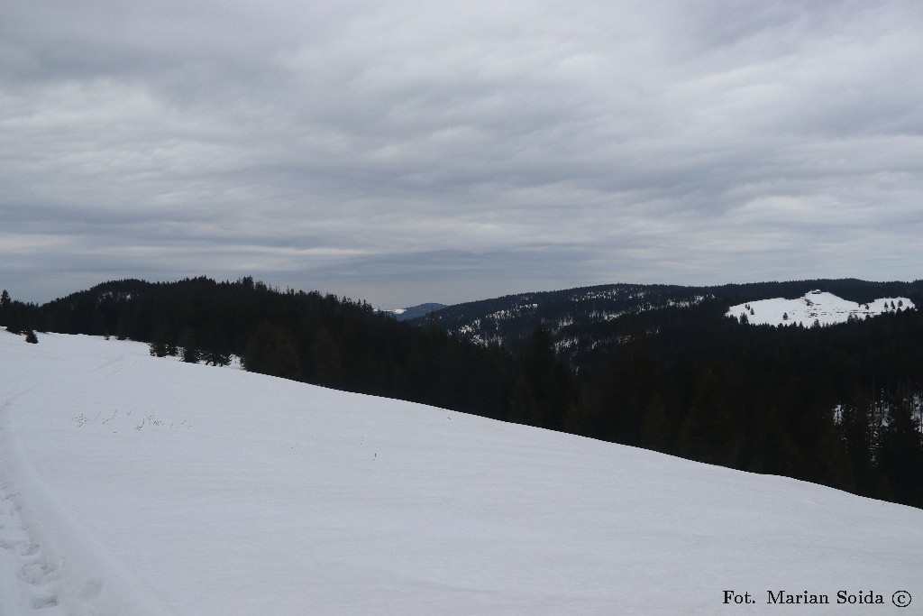 Mostownica, Jaworzyna Kamienicka, Hala Długa z Hali Turbacz