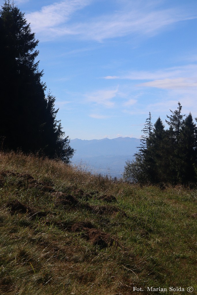 Dziki i Czerwone Wierchy - gdzieś spod Bene