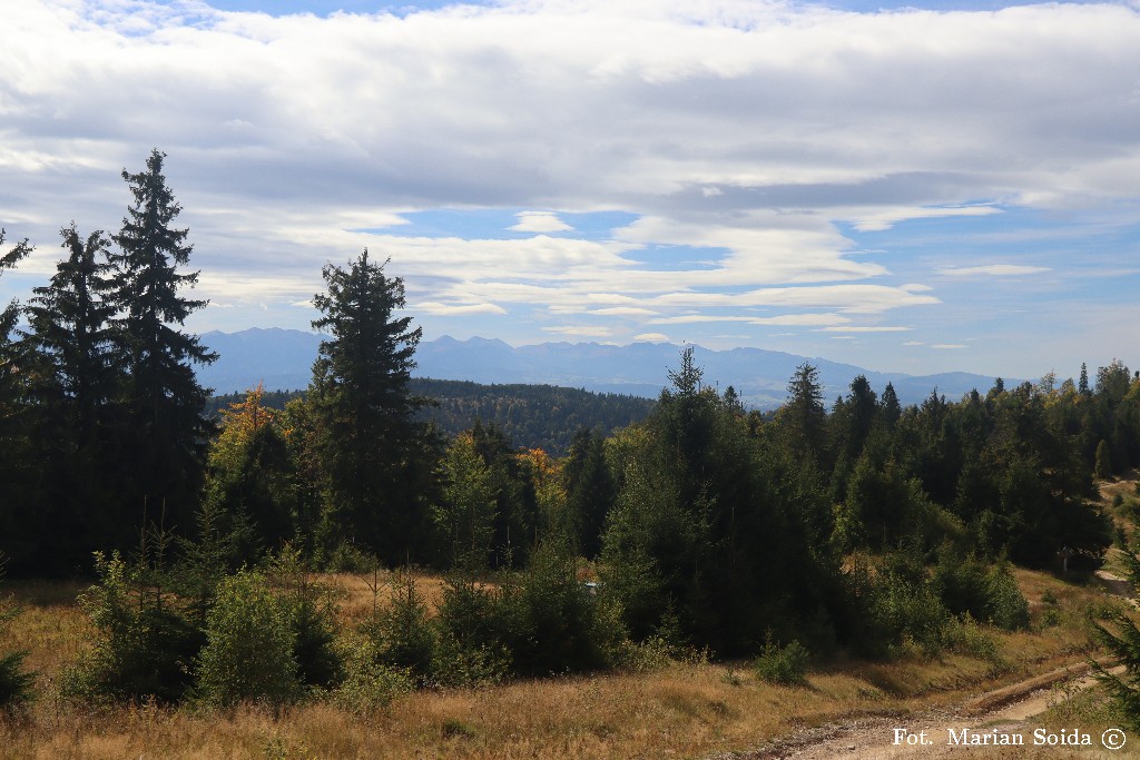 Tatry Zachodnie spod Rozdziela