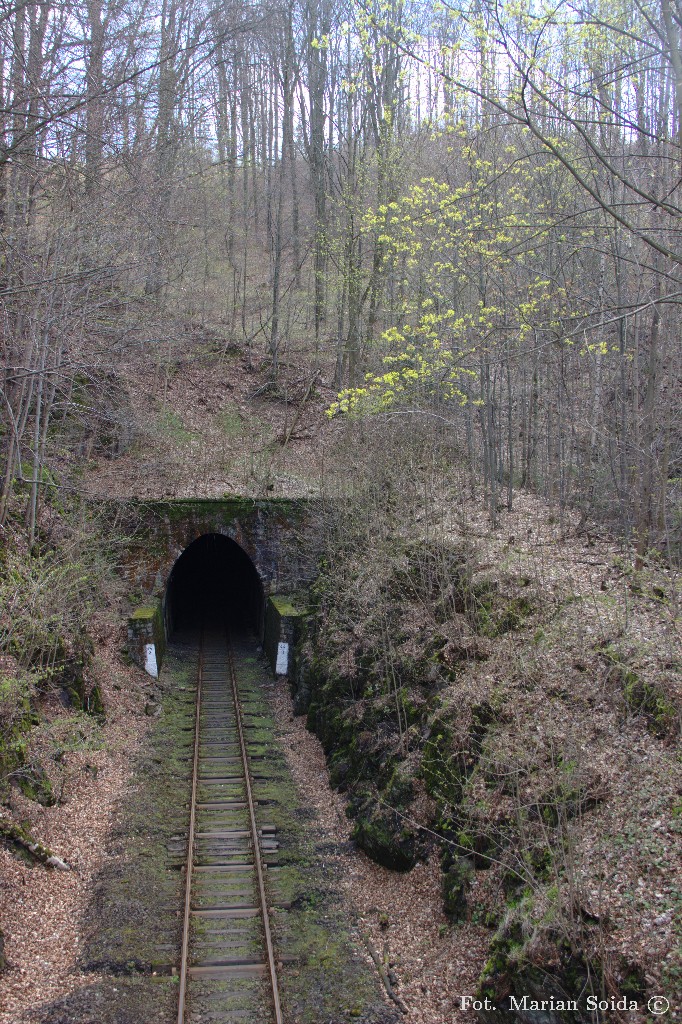 Tunel przy stacji Jedlina Zdrój