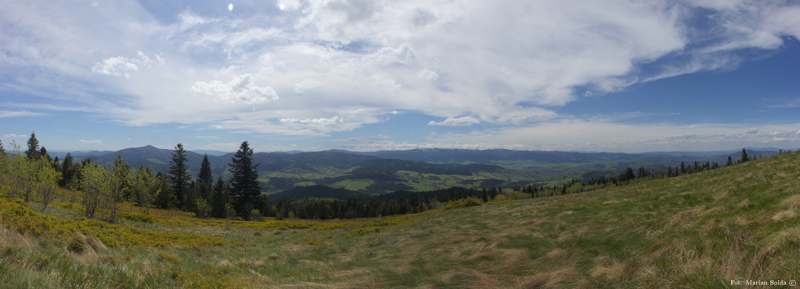 Panorama z Polany Michurowej