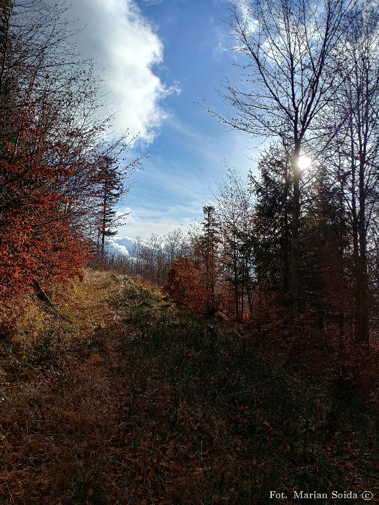 Trochę inna jesień niż rano